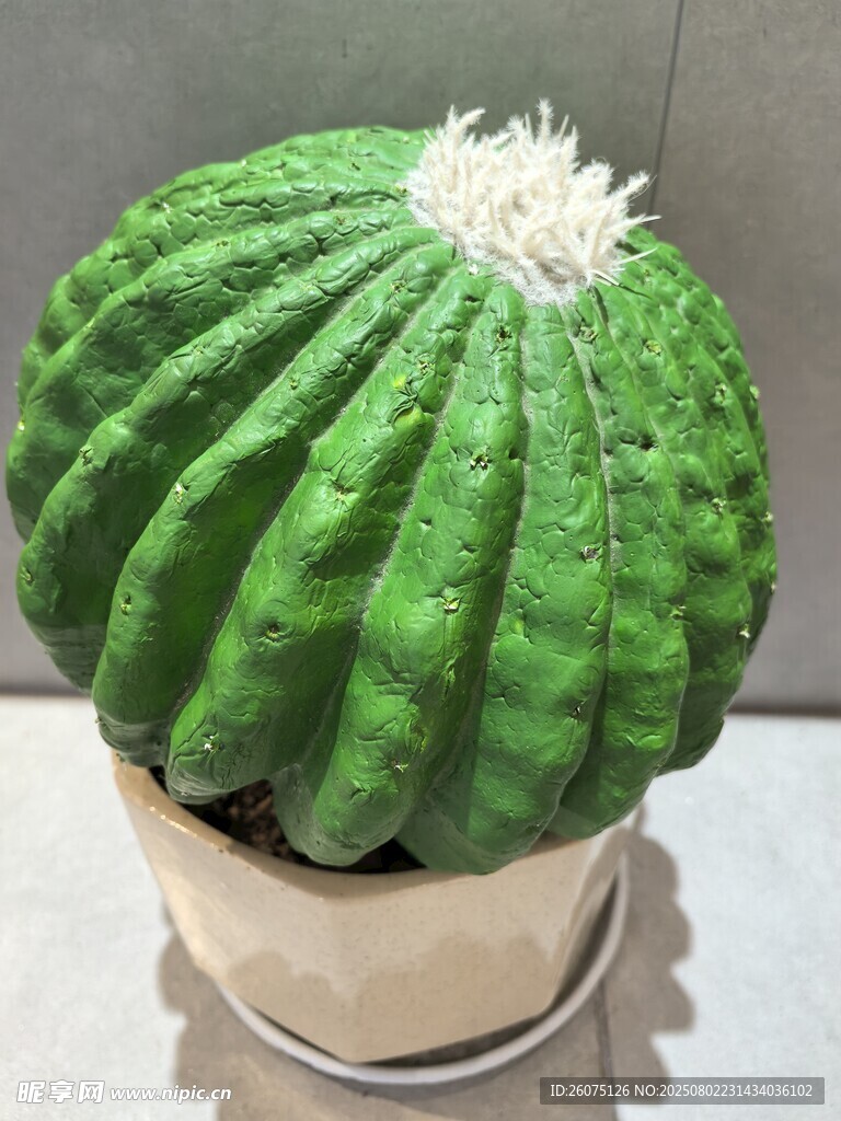 翠綠仿真仙人球盆栽