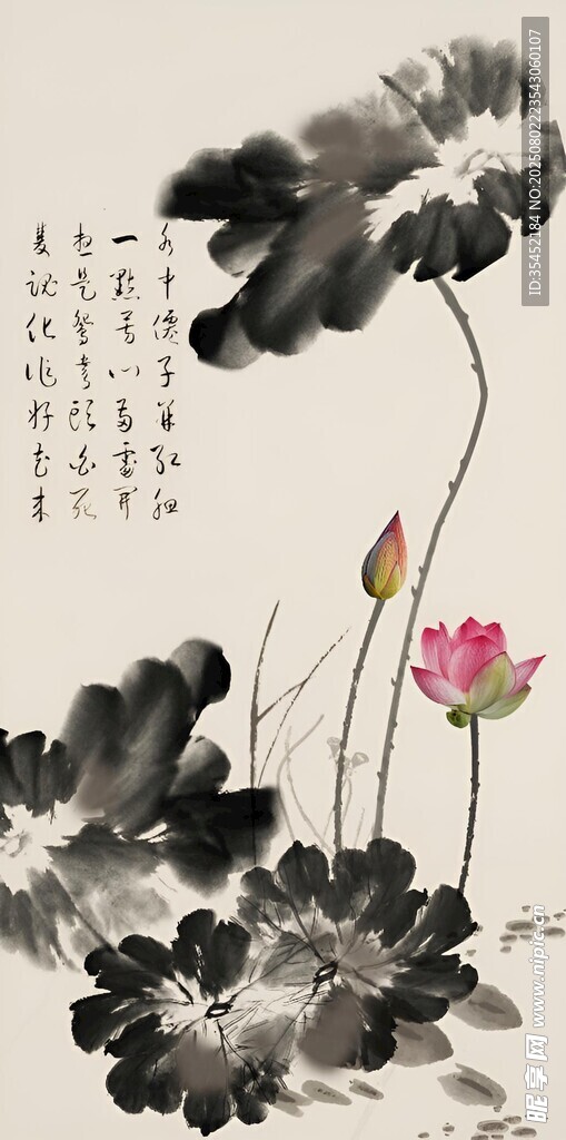 水墨荷花圖