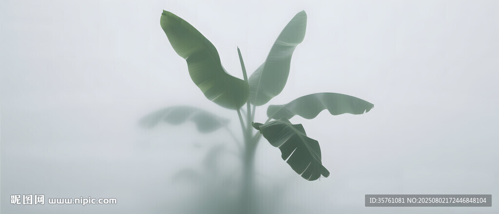 霧氣磨砂膜效果綠植貼圖