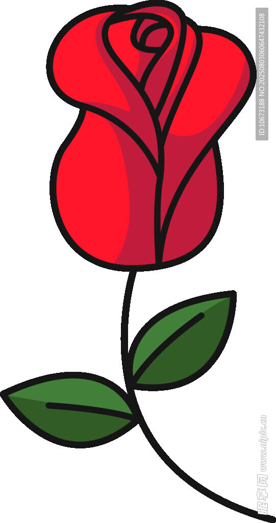 紅色玫瑰插畫
