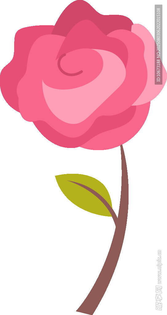粉色玫瑰插畫