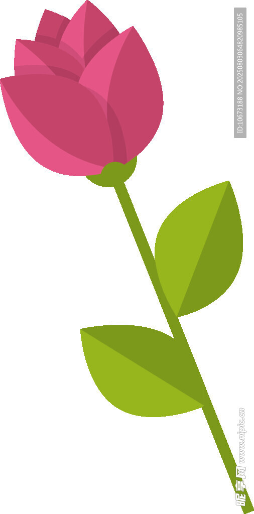 粉色玫瑰插畫(huà)