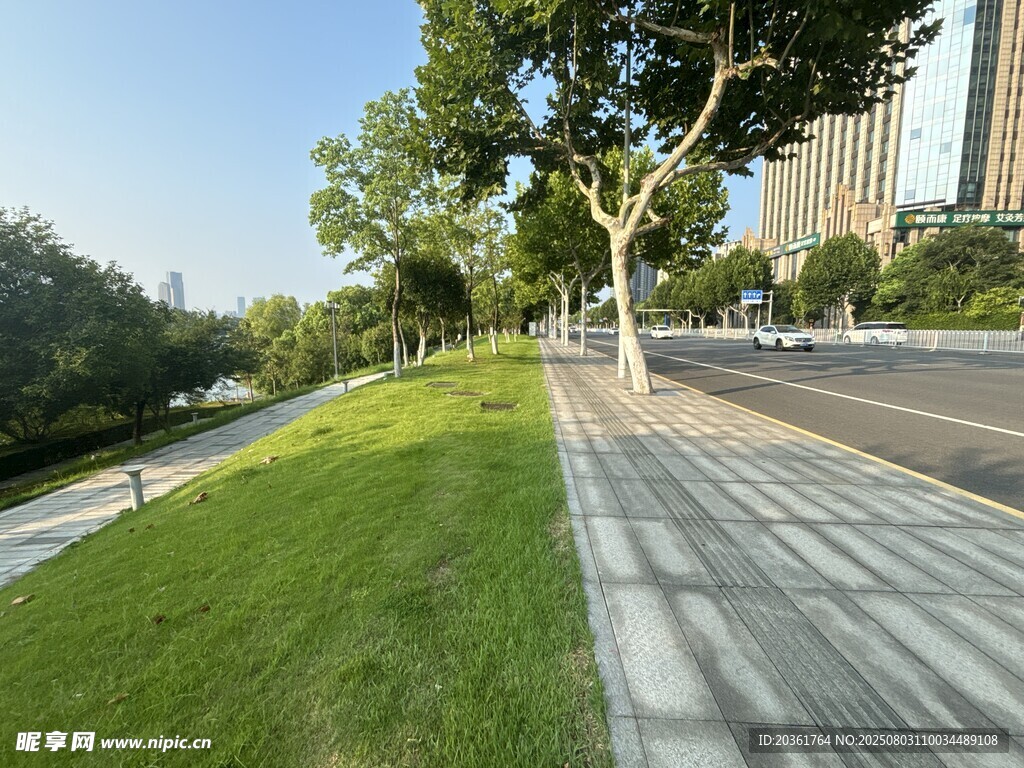 城市林蔭步道旁的翠綠草坪