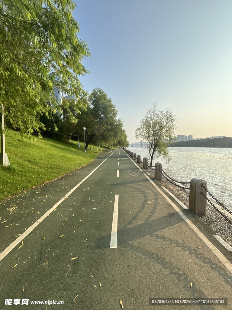 湖邊林蔭道風景