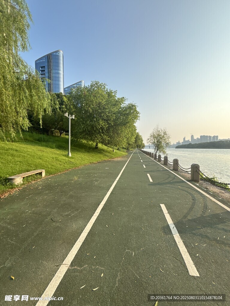 湖畔林蔭路
