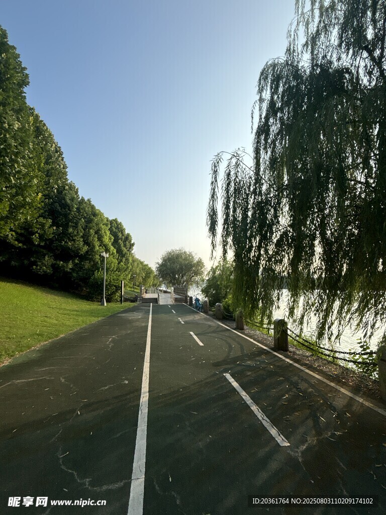 林蔭道路