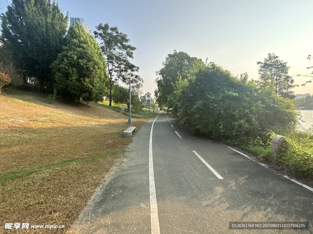 郊外寧靜公路風(fēng)景