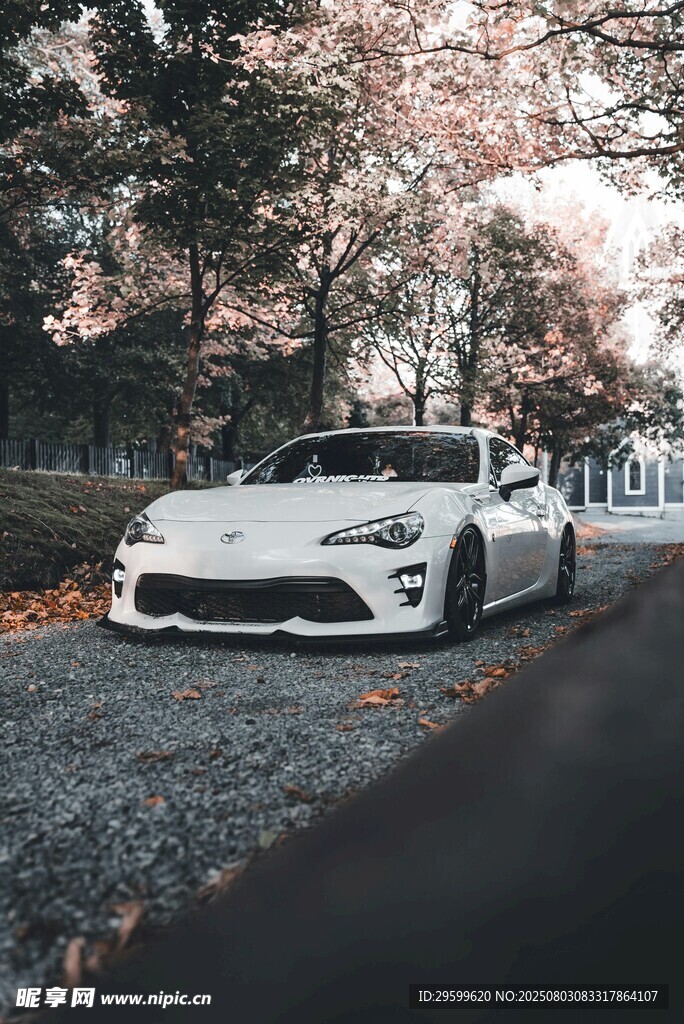 白色跑車停于秋日美景中