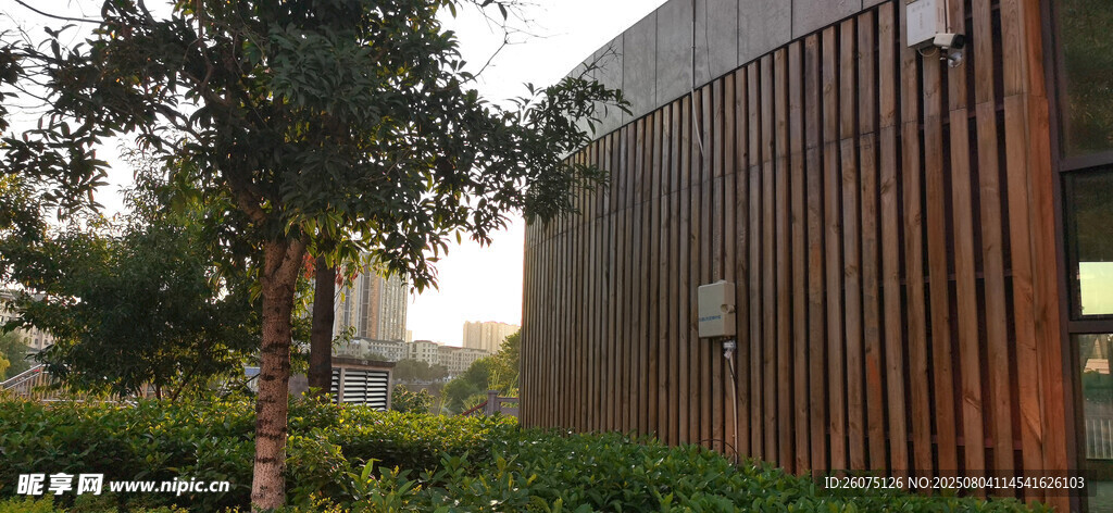 現(xiàn)代木質(zhì)墻面建筑旁的綠植景觀(guān)