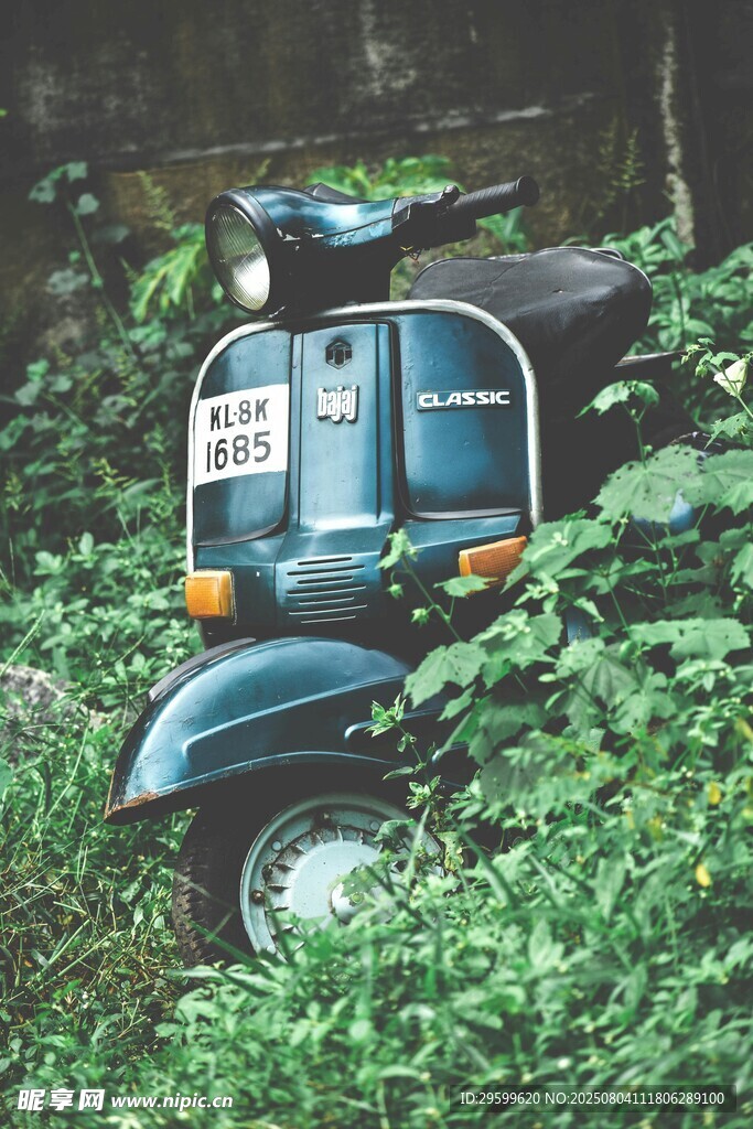 叢林中的復古三輪摩托車