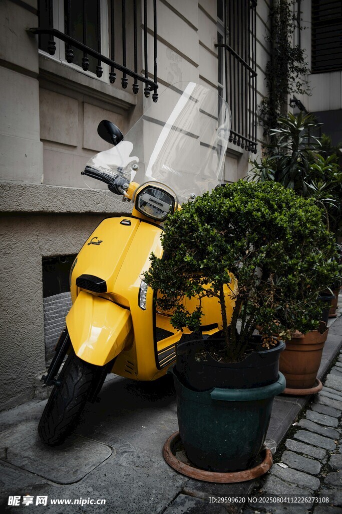 黃色復古踏板車與綠植