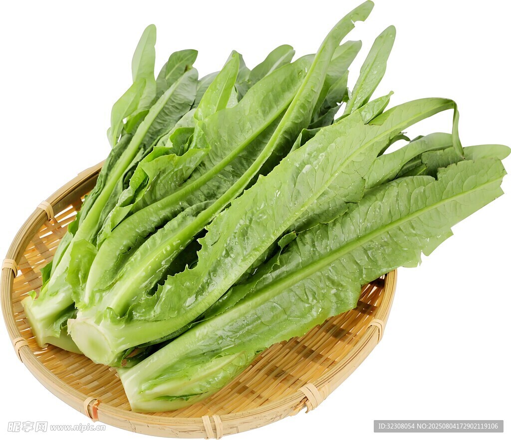 竹盤里的鮮嫩油麥菜