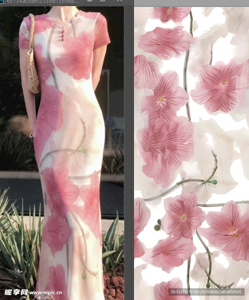 嬌艷粉色蘭花綻放