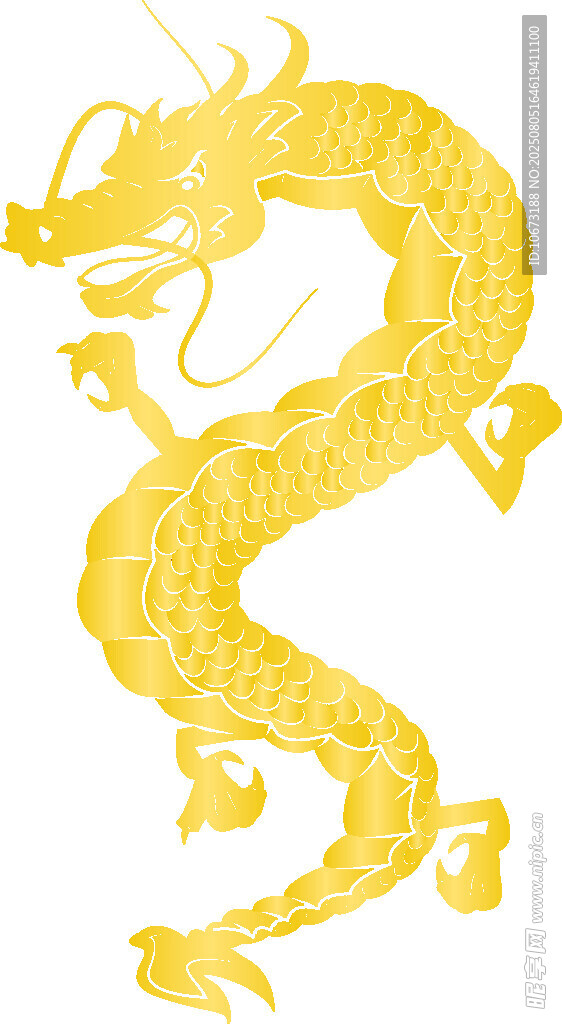 金色祥龍圖案