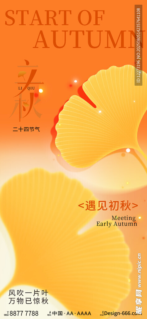 立秋時節(jié)的金黃樹葉