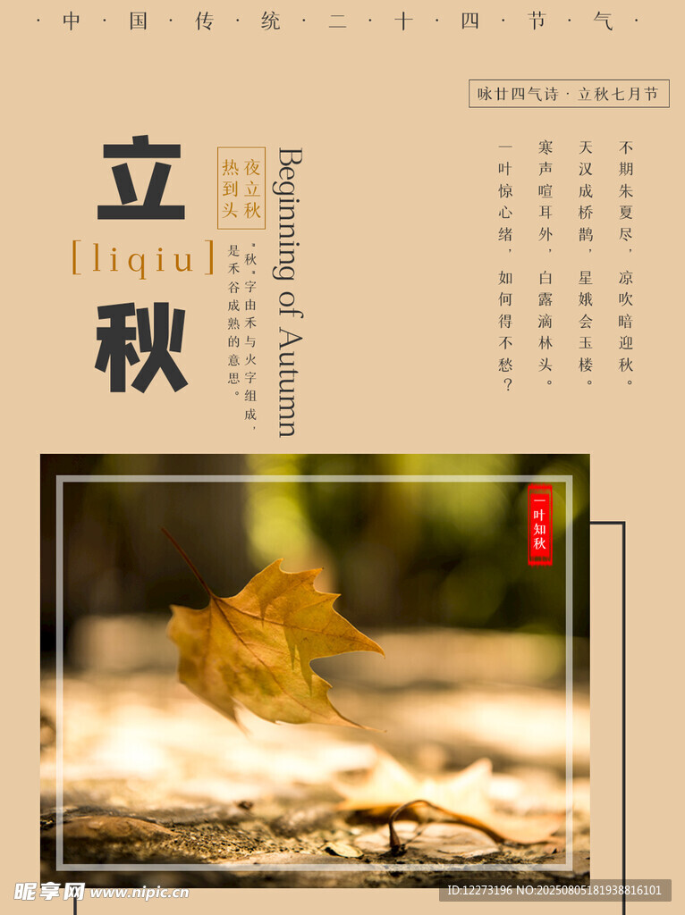立秋時(shí)節(jié)落葉景致