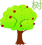 樹