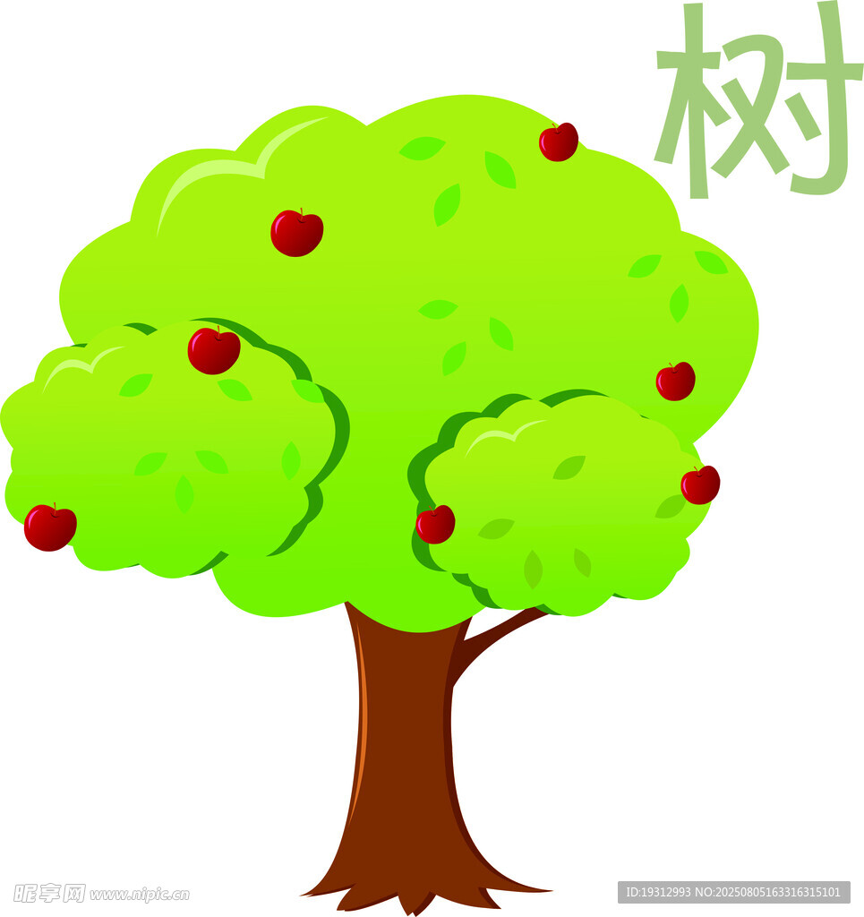 樹(shù)