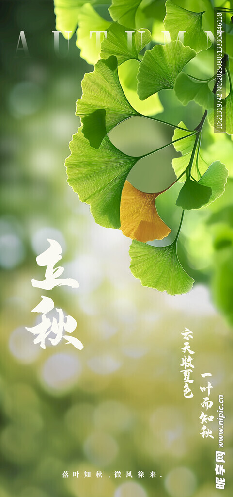 立秋節(jié)氣