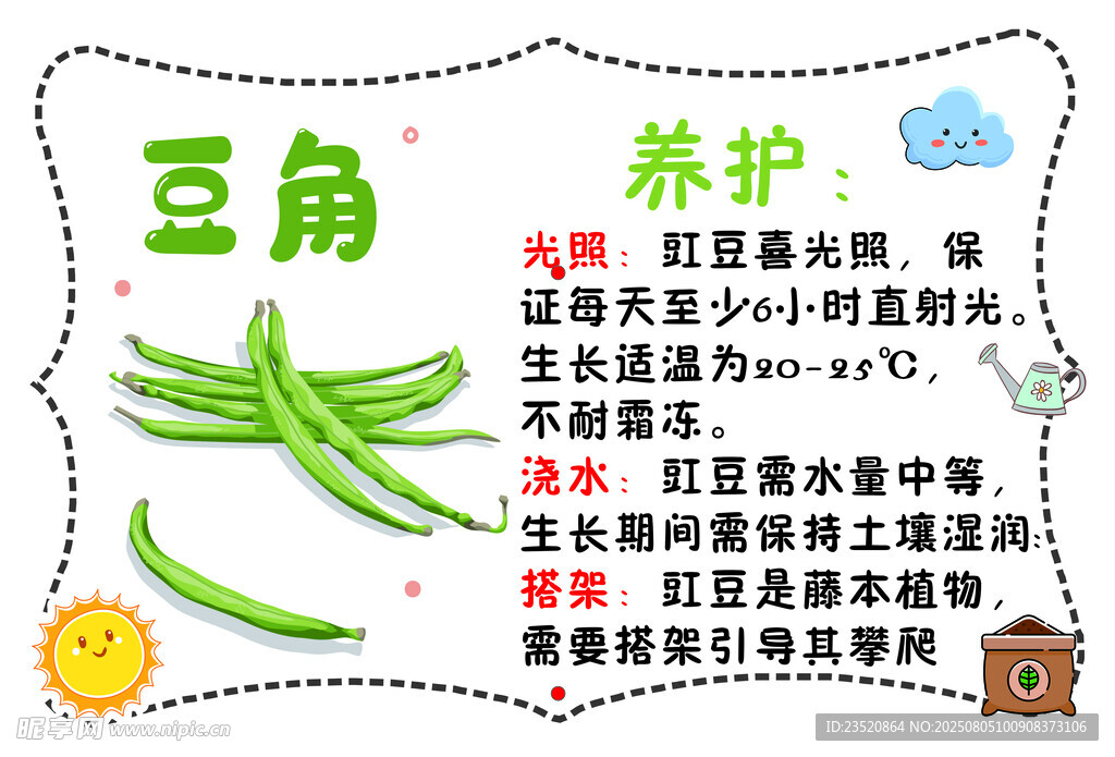 豆角養(yǎng)護(hù)指南