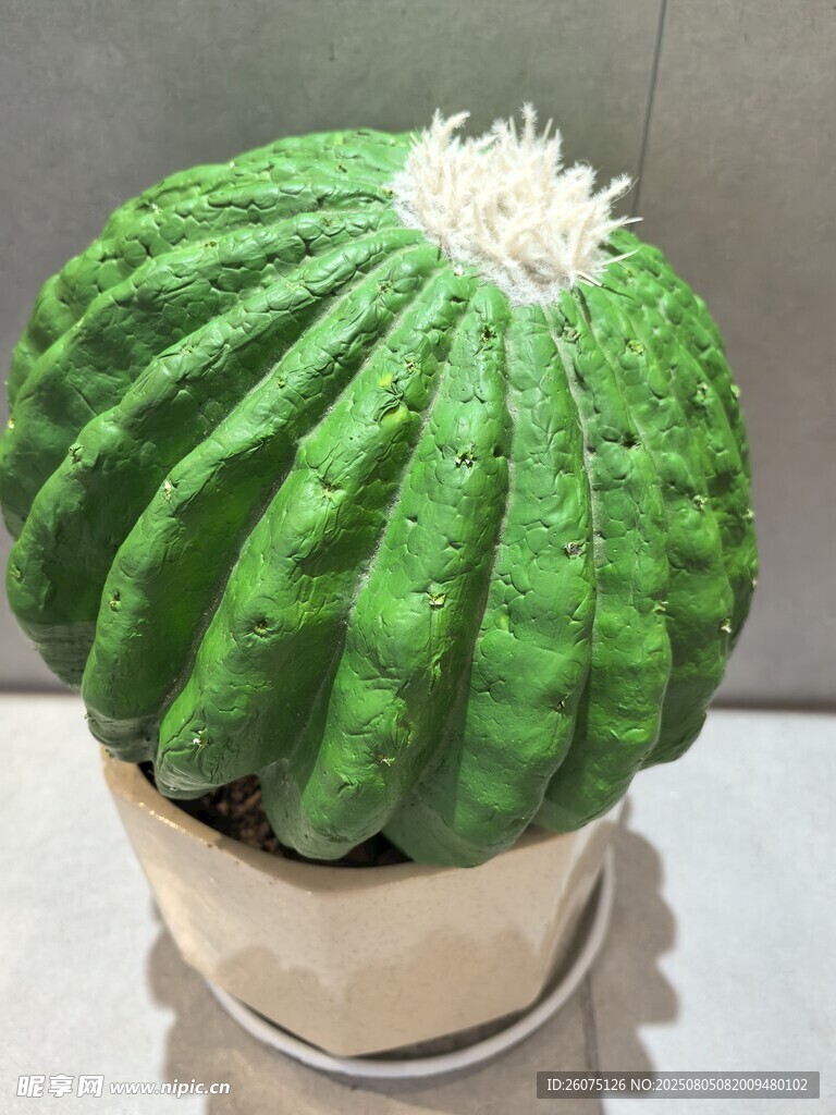 圓滾滾仿真仙人球盆栽