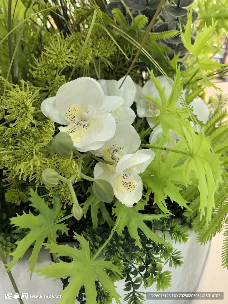 仿真白色花卉與翠綠植物組合