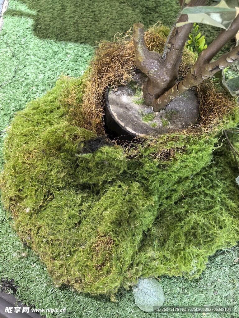 仿真苔蘚景觀