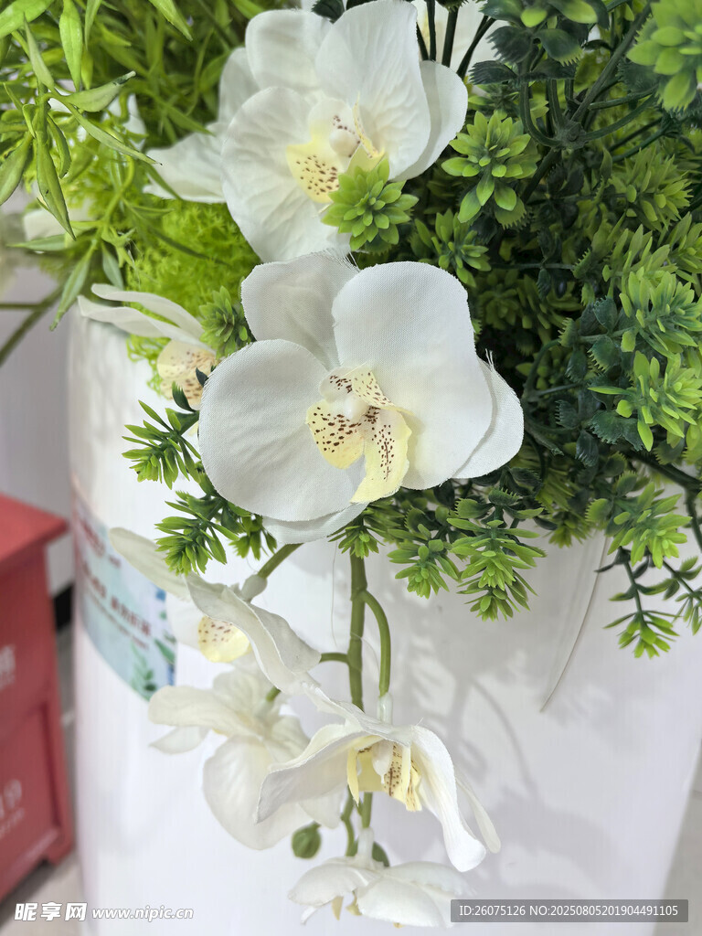 白色優(yōu)雅仿真蘭花插花擺件