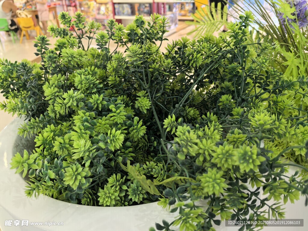 仿真盆栽綠植清新自然景致