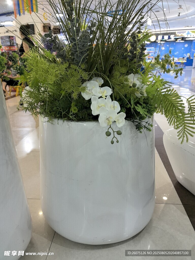 白色花桶中的清新仿真綠植花卉