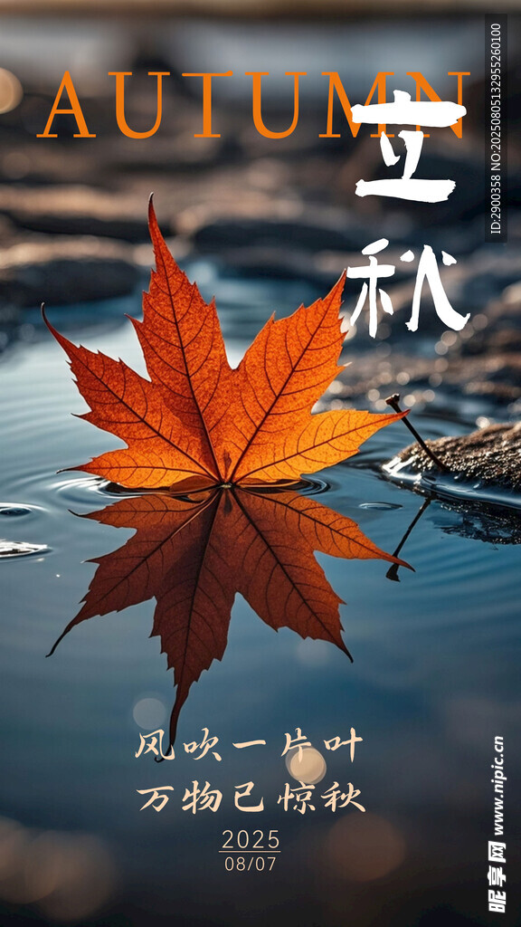 水面上的秋日楓葉