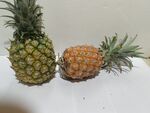 兩個(gè)新鮮菠蘿
