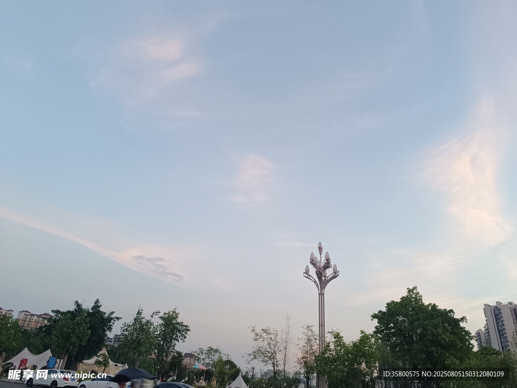 城市傍晚天空與樹木景觀