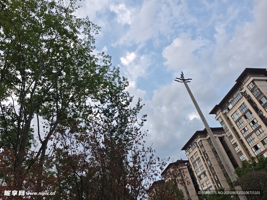 住宅區(qū)綠樹藍(lán)天景致
