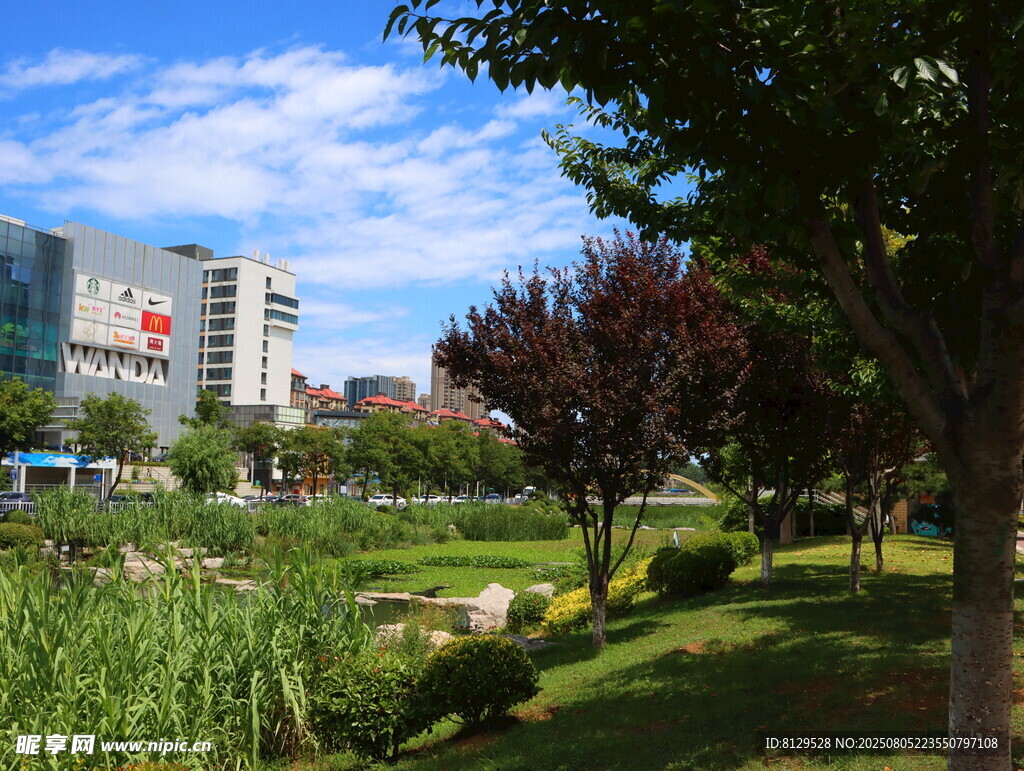 城市公園中的綠植與建筑