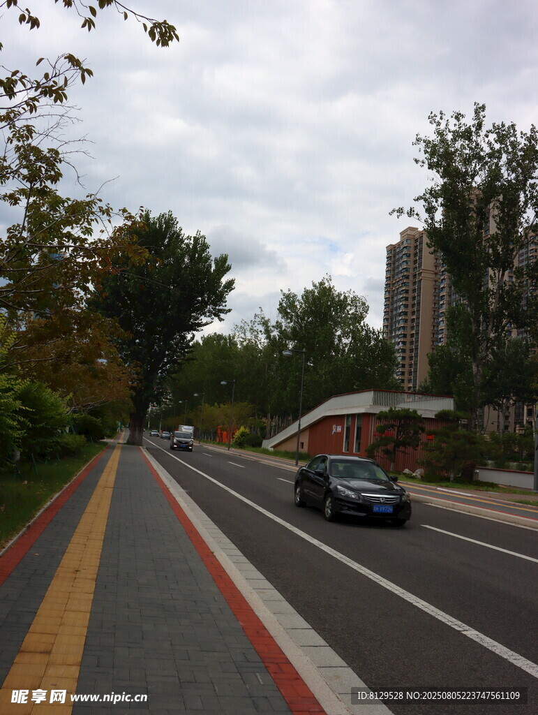 城市道路上的車輛與景觀