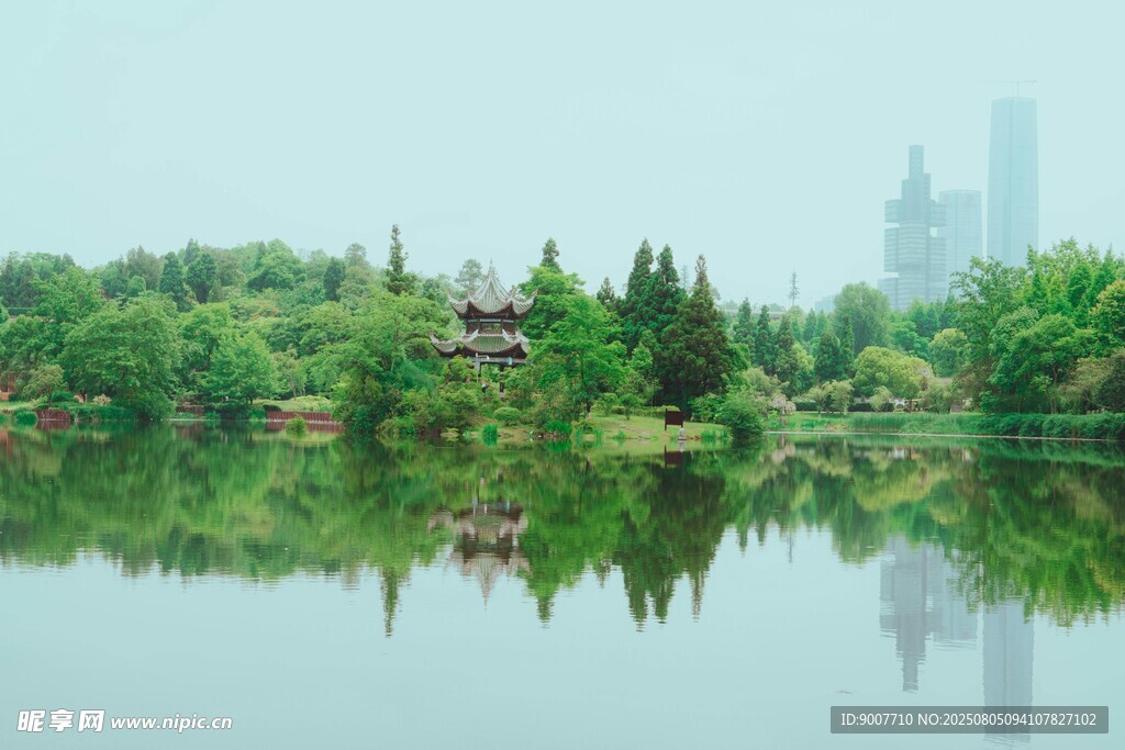 湖畔綠樹映景 城市隱約