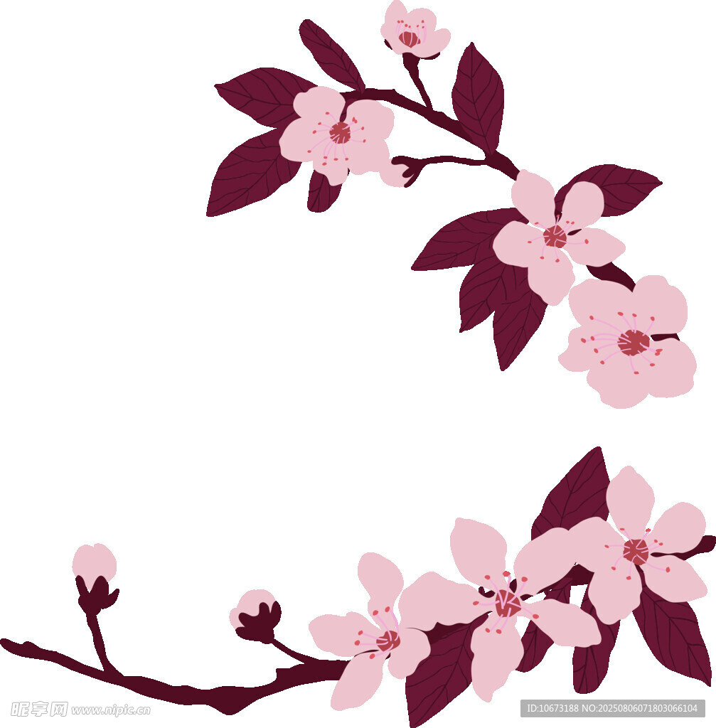 粉色櫻花枝插畫(huà)