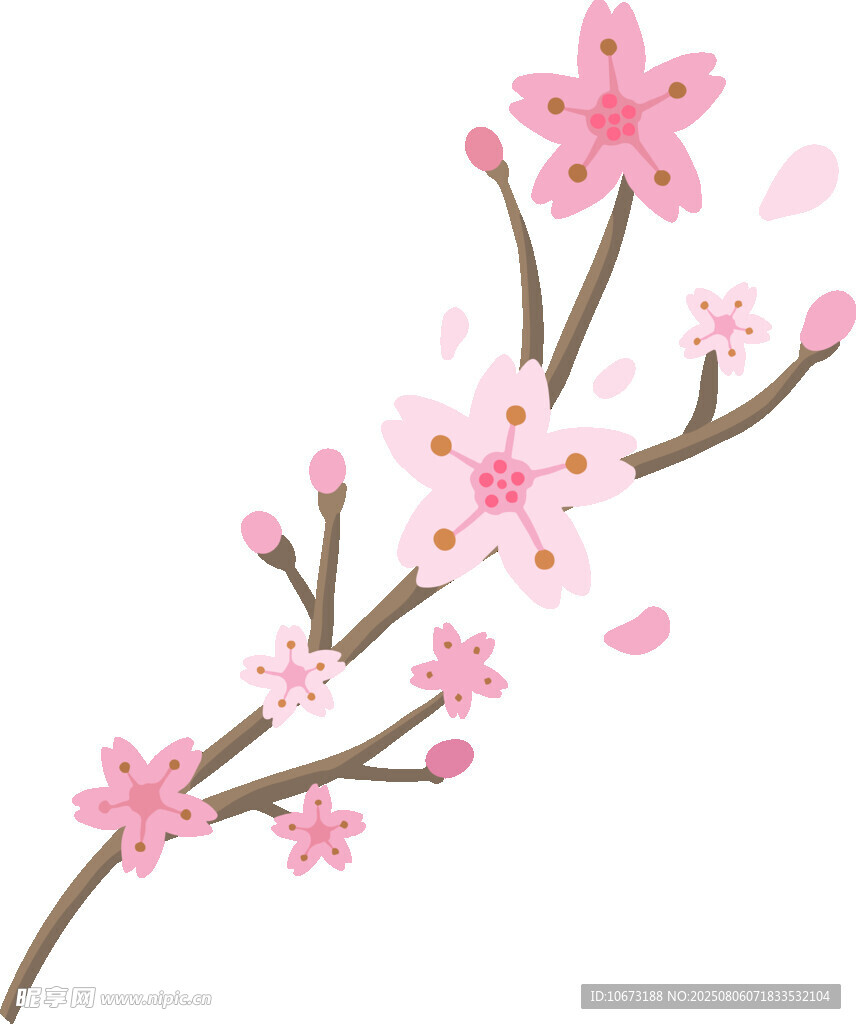 粉色櫻花枝條