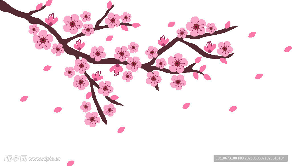 粉色櫻花枝