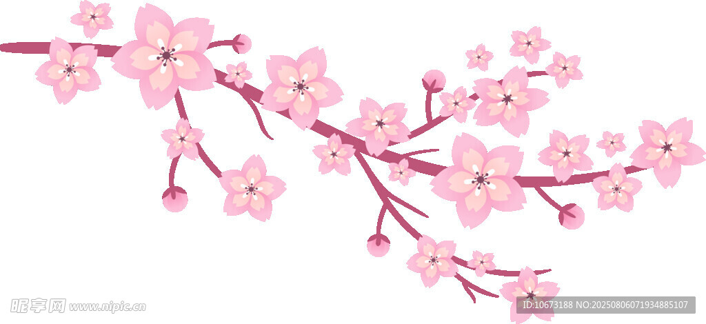 粉色爛漫櫻花枝