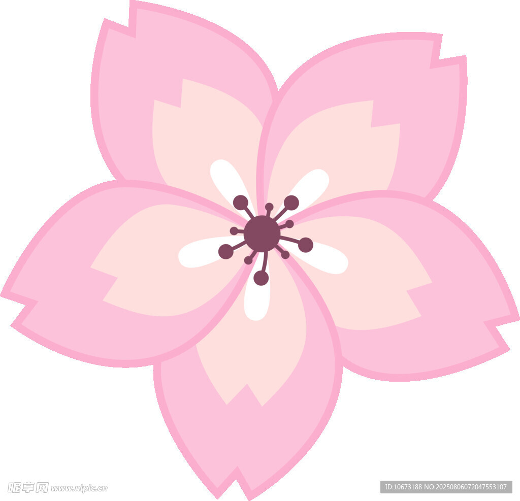 粉色櫻花花朵圖案