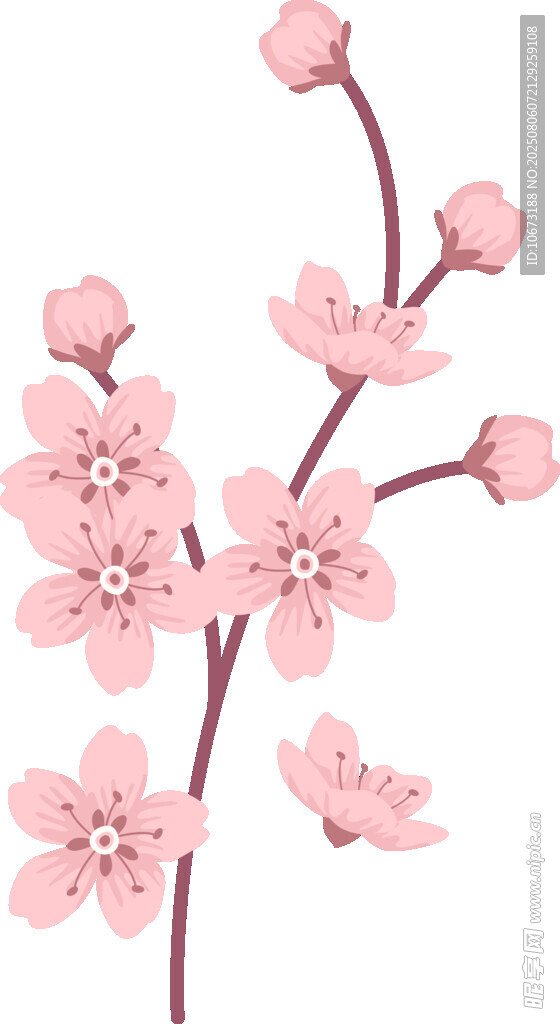 粉色櫻花花枝插畫