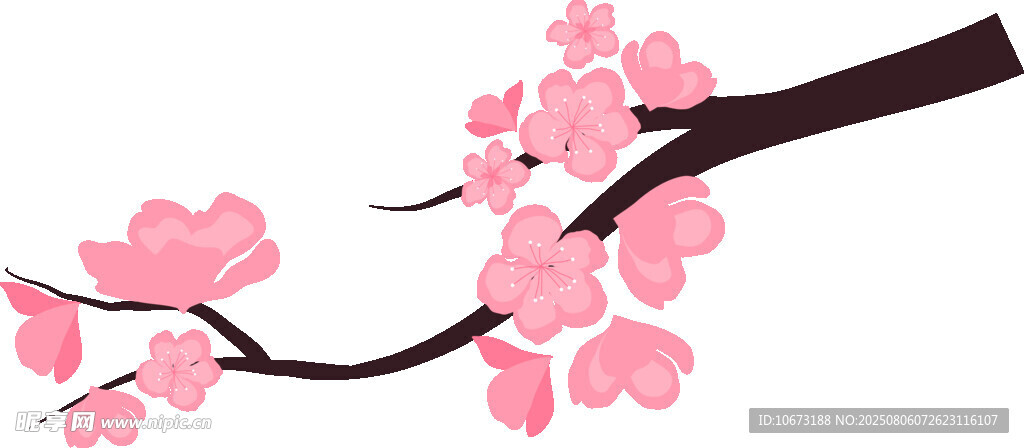粉色櫻花枝