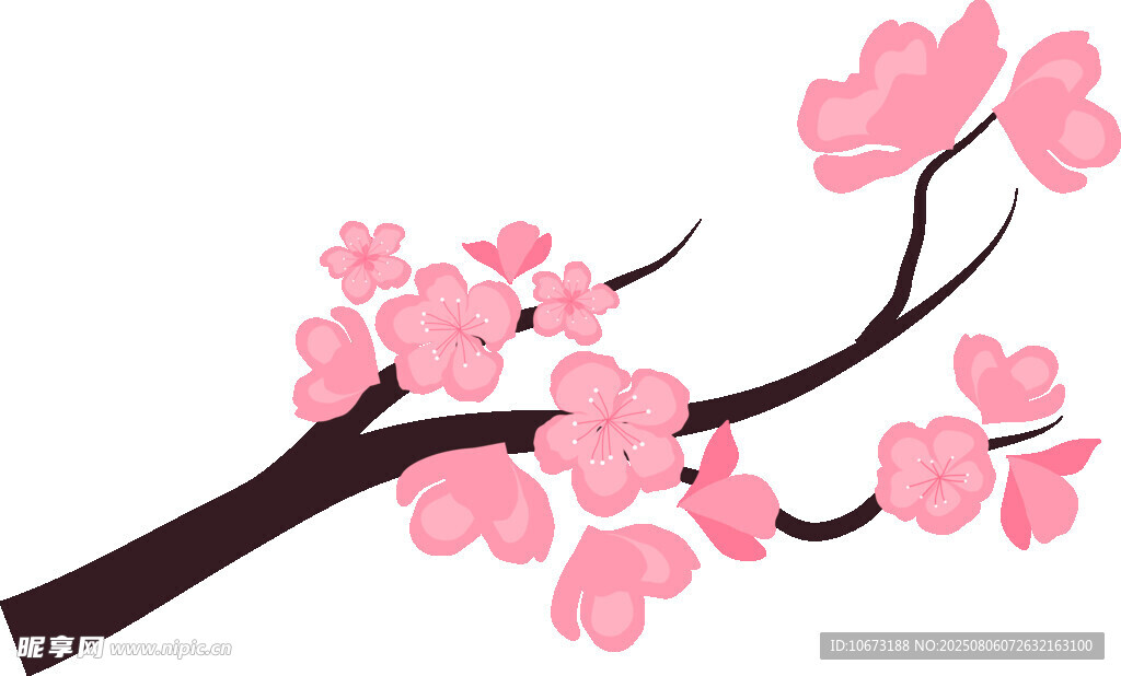 粉色櫻花枝