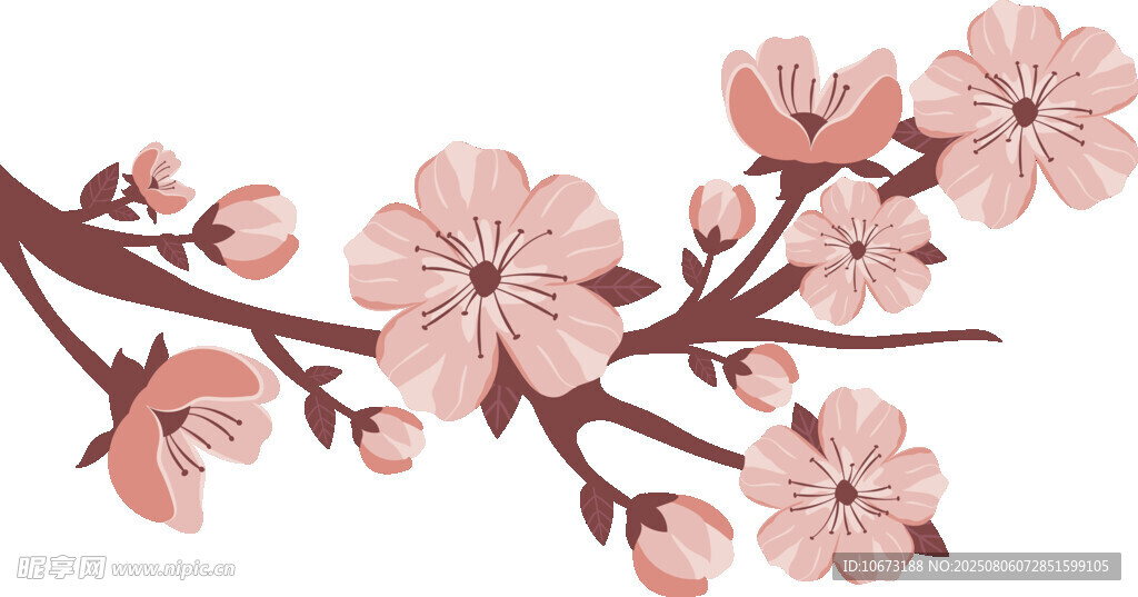粉色櫻花枝條插畫