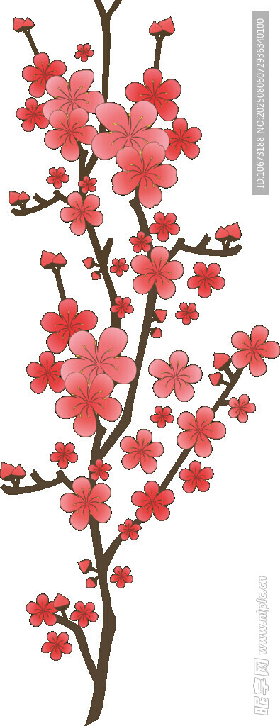 綻放的粉色花枝