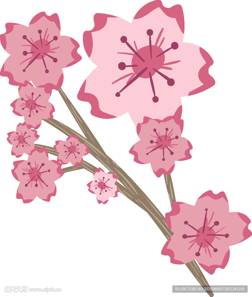 粉色櫻花枝