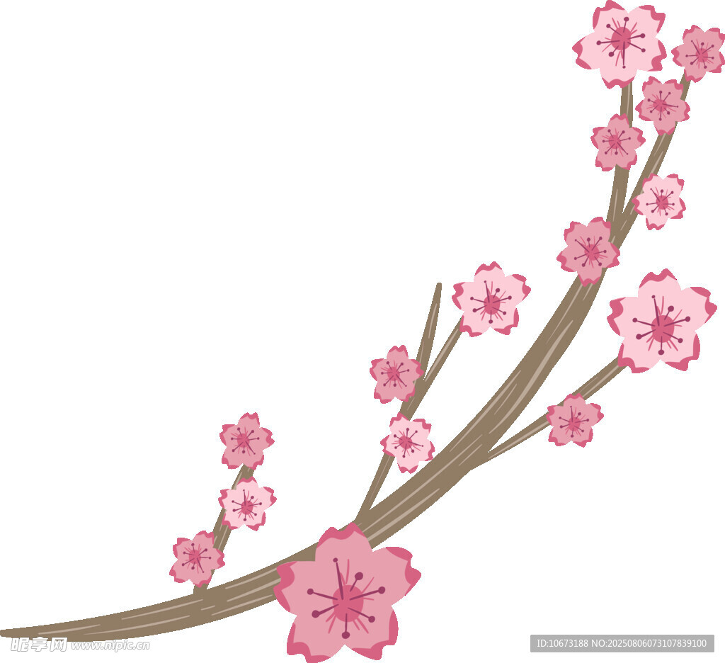 粉色櫻花枝