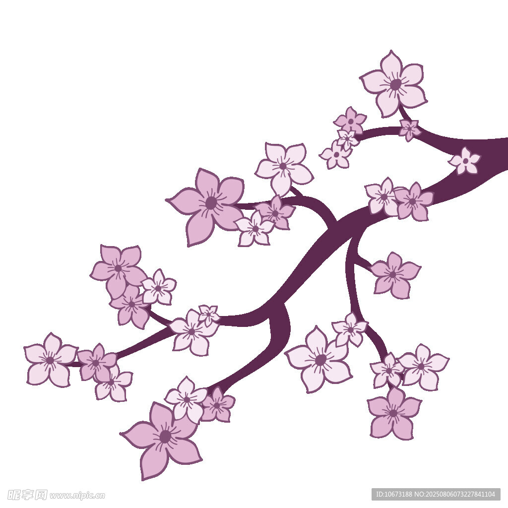 櫻花枝插畫